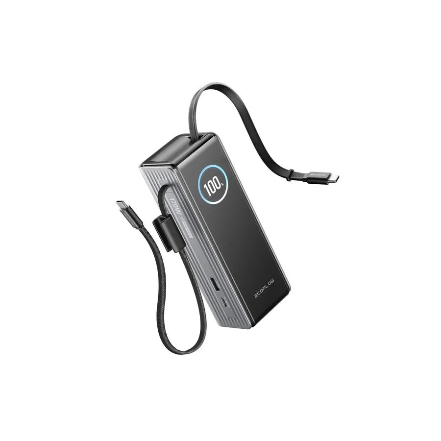 Павербанк EcoFlow RAPID Power Bank з кабелями 25000mAh сріблястий — Photo 3