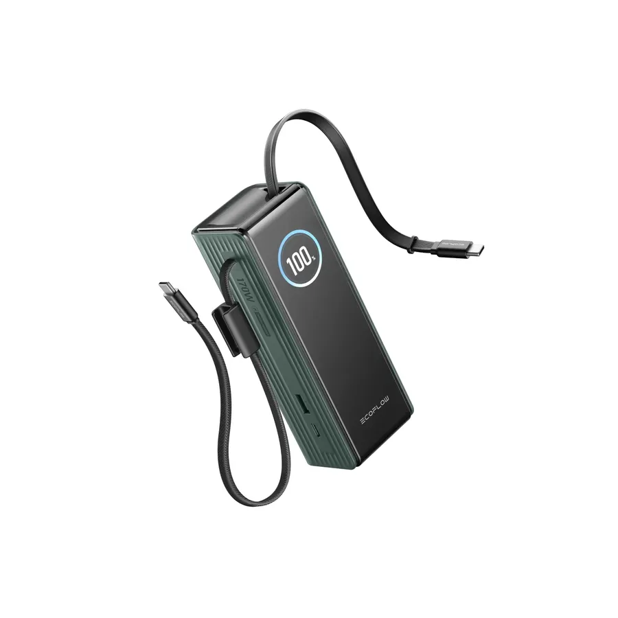 Павербанк EcoFlow RAPID Power Bank з кабелями 25000mAh зелений — Photo 3
