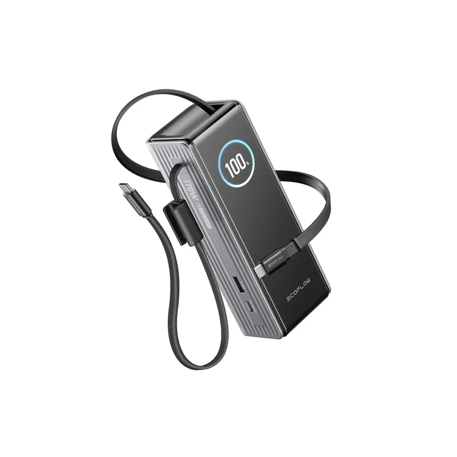 Павербанк EcoFlow RAPID Power Bank з кабелями 25000mAh сріблястий — Photo 4