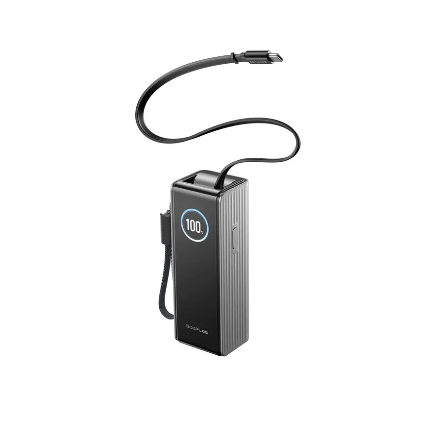 Павербанк EcoFlow RAPID Power Bank з кабелями 25000mAh сріблястий — Photo 2