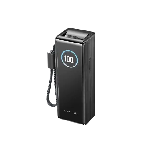 Павербанк EcoFlow RAPID Power Bank з кабелями 25000mAh чорний