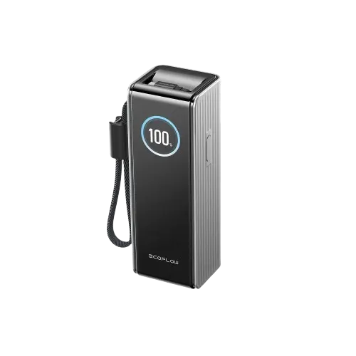 Павербанк EcoFlow RAPID Power Bank з кабелями 25000mAh сріблястий