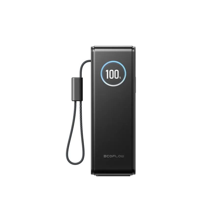 Павербанк EcoFlow RAPID Power Bank з кабелями 25000mAh сріблястий — Photo 1