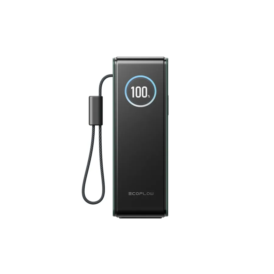 Павербанк EcoFlow RAPID Power Bank з кабелями 25000mAh зелений — Photo 1